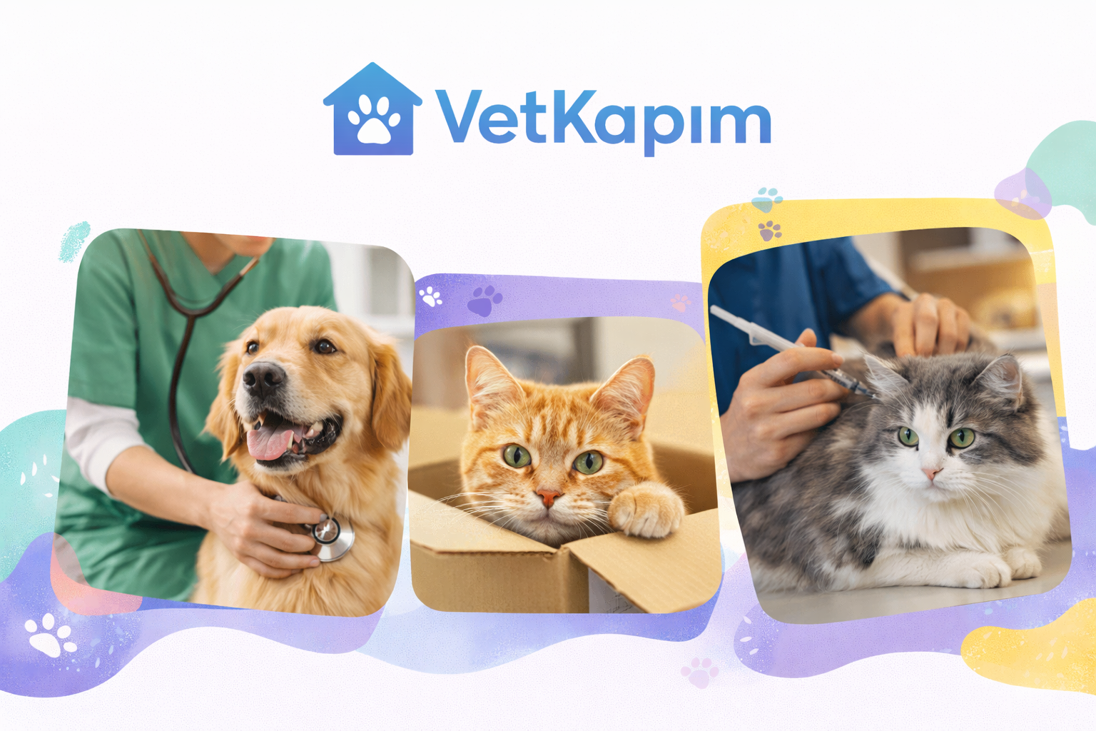 VetKapım tanıtım görseli